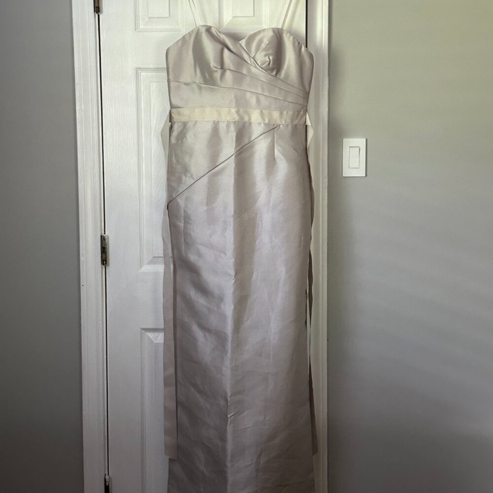 NWT Adrianna Papell Silver Strapless Dress